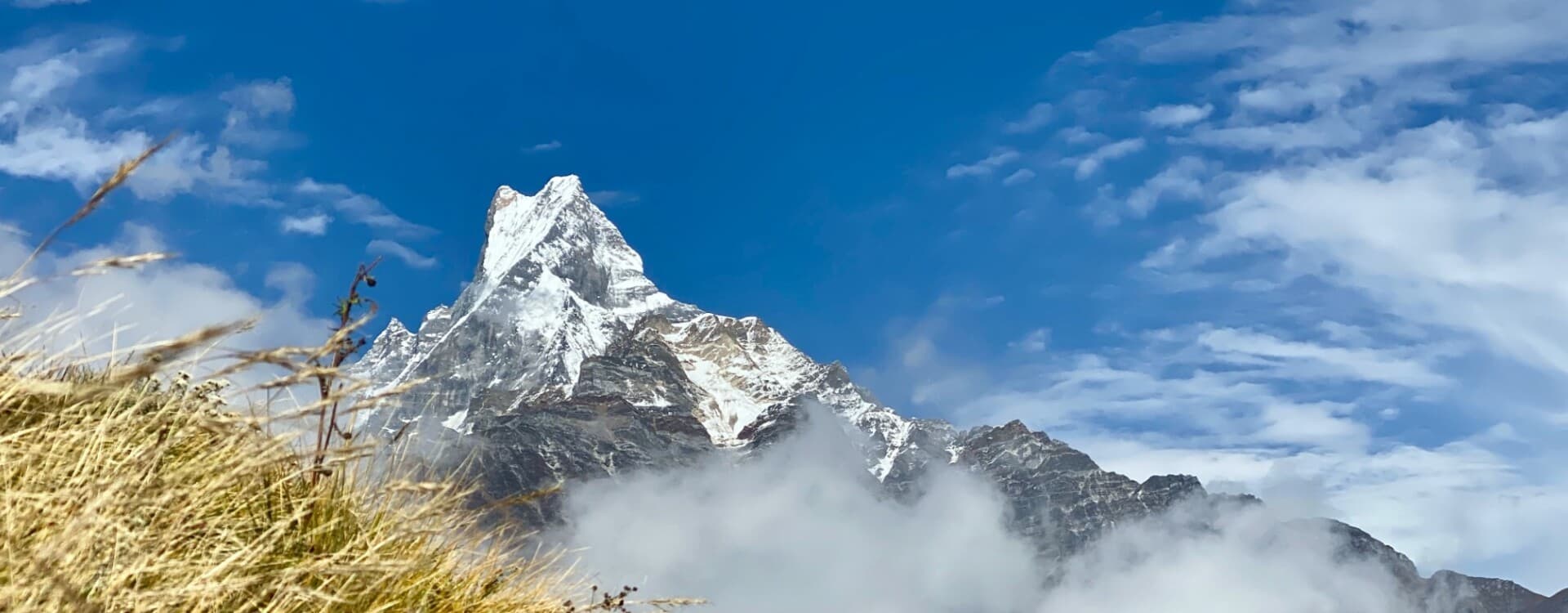 Mardi Himal Base Camp